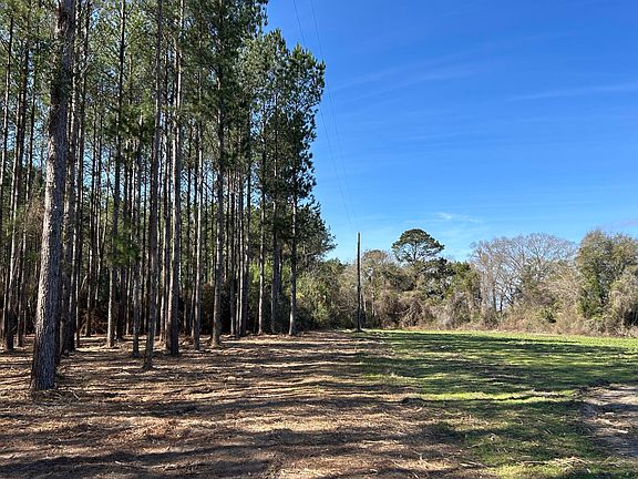 3rd image of 0 Grimes Rd Lot 1