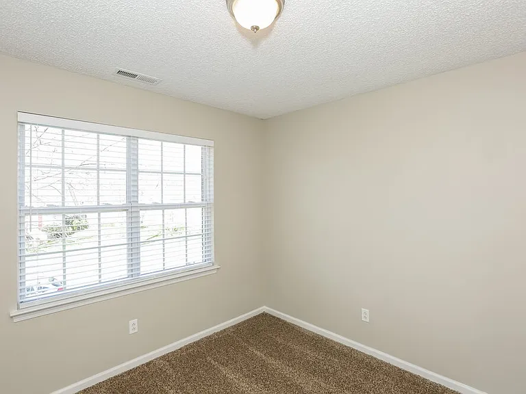 4204 Runaway Cir — Photo 13