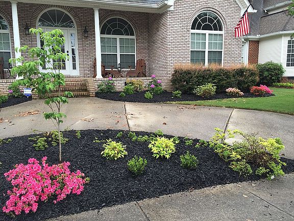 Updated Flower Beds