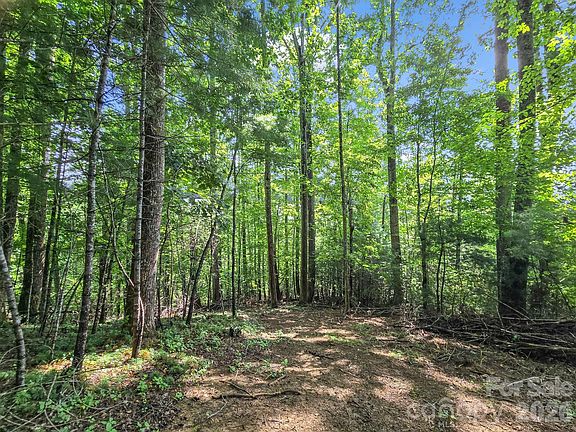 3rd image of Davenport Hills Rd