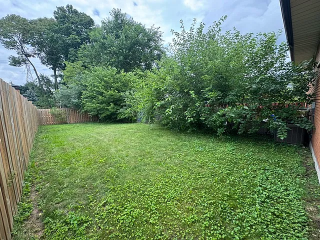237 Veronica Dr — Photo 31