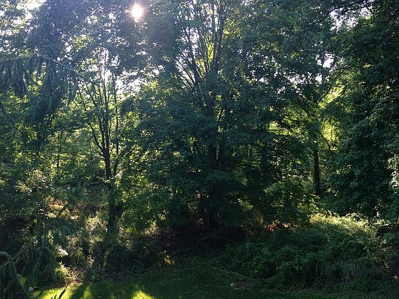 Your very own forest