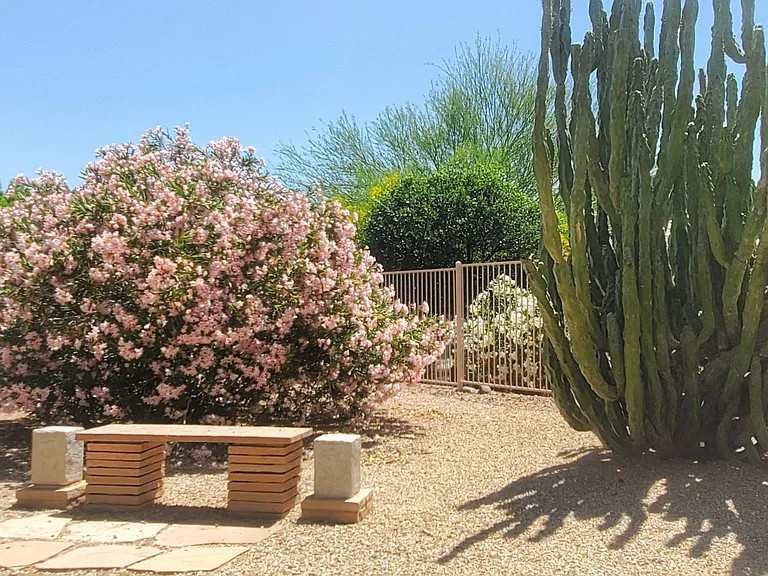 16255 W Manzanita Dr — Photo 27