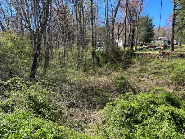 Cherry Ln, Ivanhoe, VA 24350