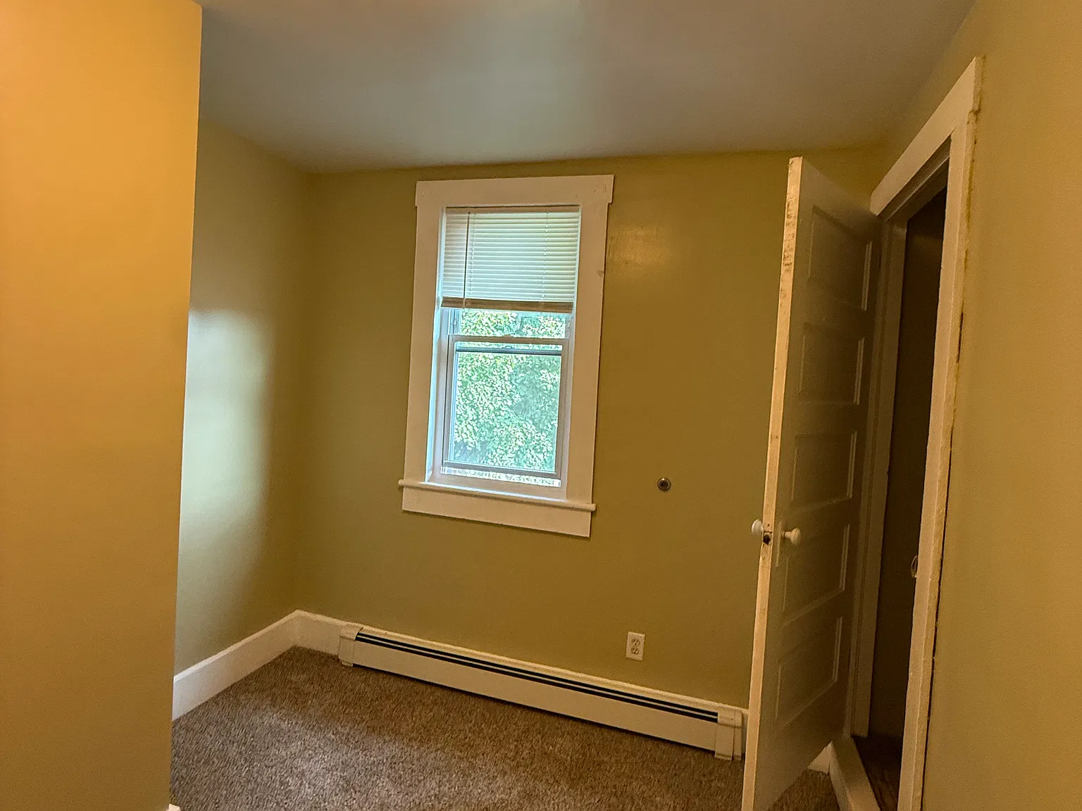 831 Wood — Photo 3