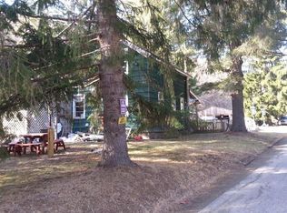 2183 Trout Brook Rd, Downsville, NY 13755