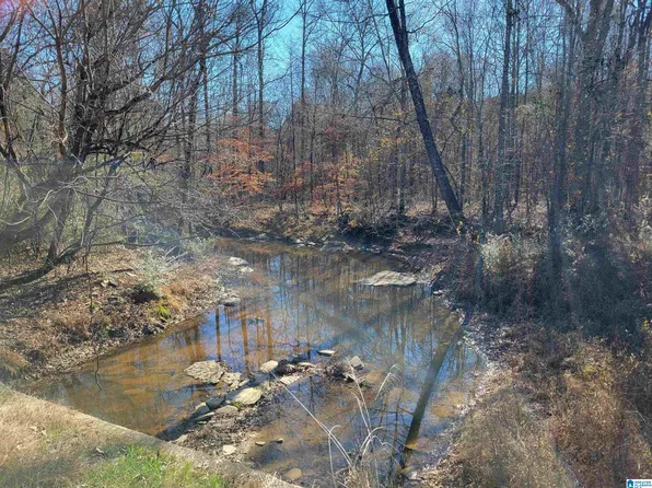 2194 County Road 818 #0, Logan, AL 35098