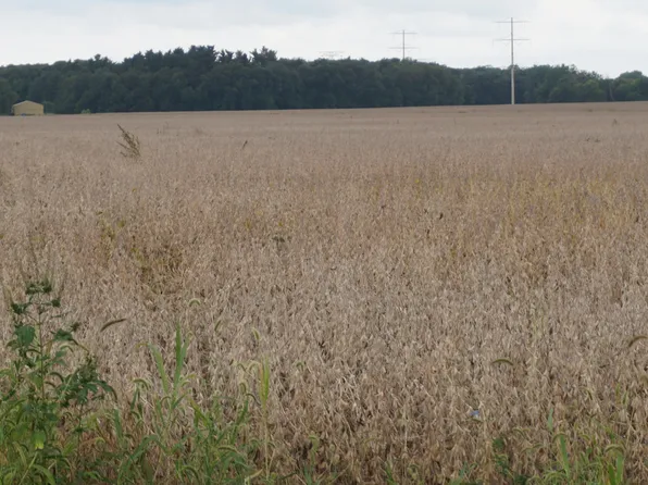 Section 9 Rd, Bonfield, IL 60913