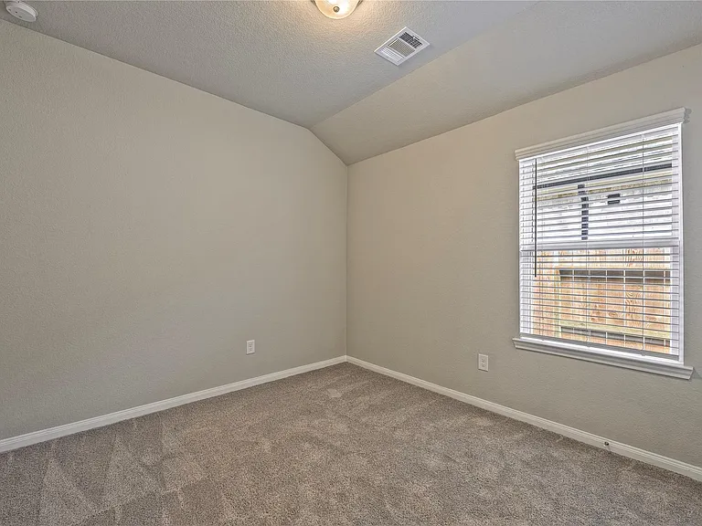 17502 Rosette Grass Dr — Photo 19