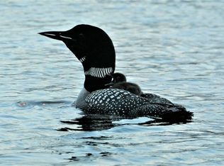 11 Blue Haven Rd, Mount Vernon, ME 04352