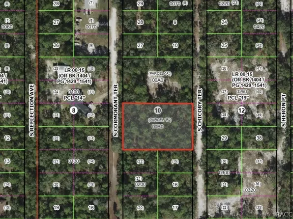 3698 S Chicory Ter, Inverness, FL 34450