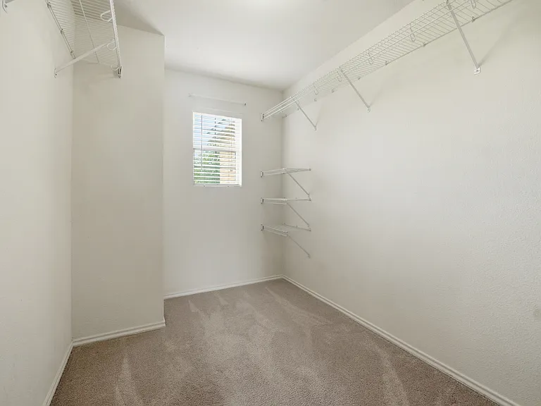 20526 Blue Trinity — Photo 20