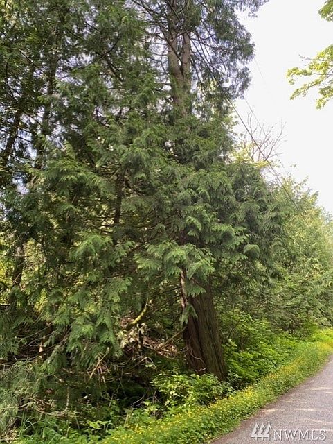 2nd image of 4280 Nordum Rd