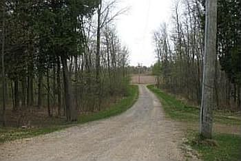 The woods lined driveway