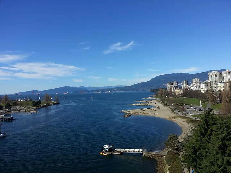 Vancouver Apartment for rent - 1 Bedroom — photo 16