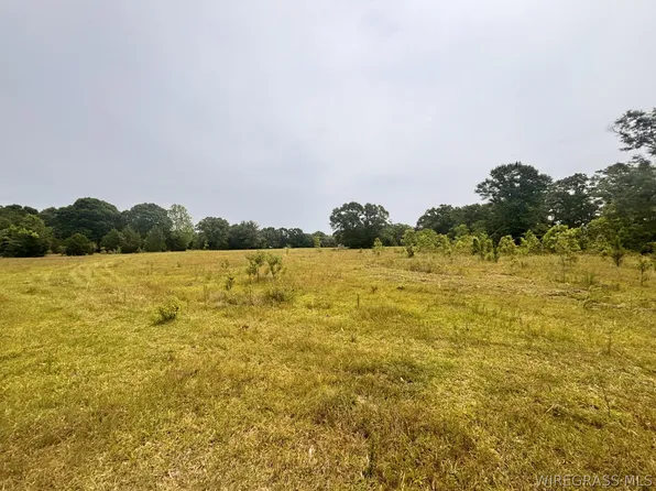0 State Highway 153, Samson, AL 36477