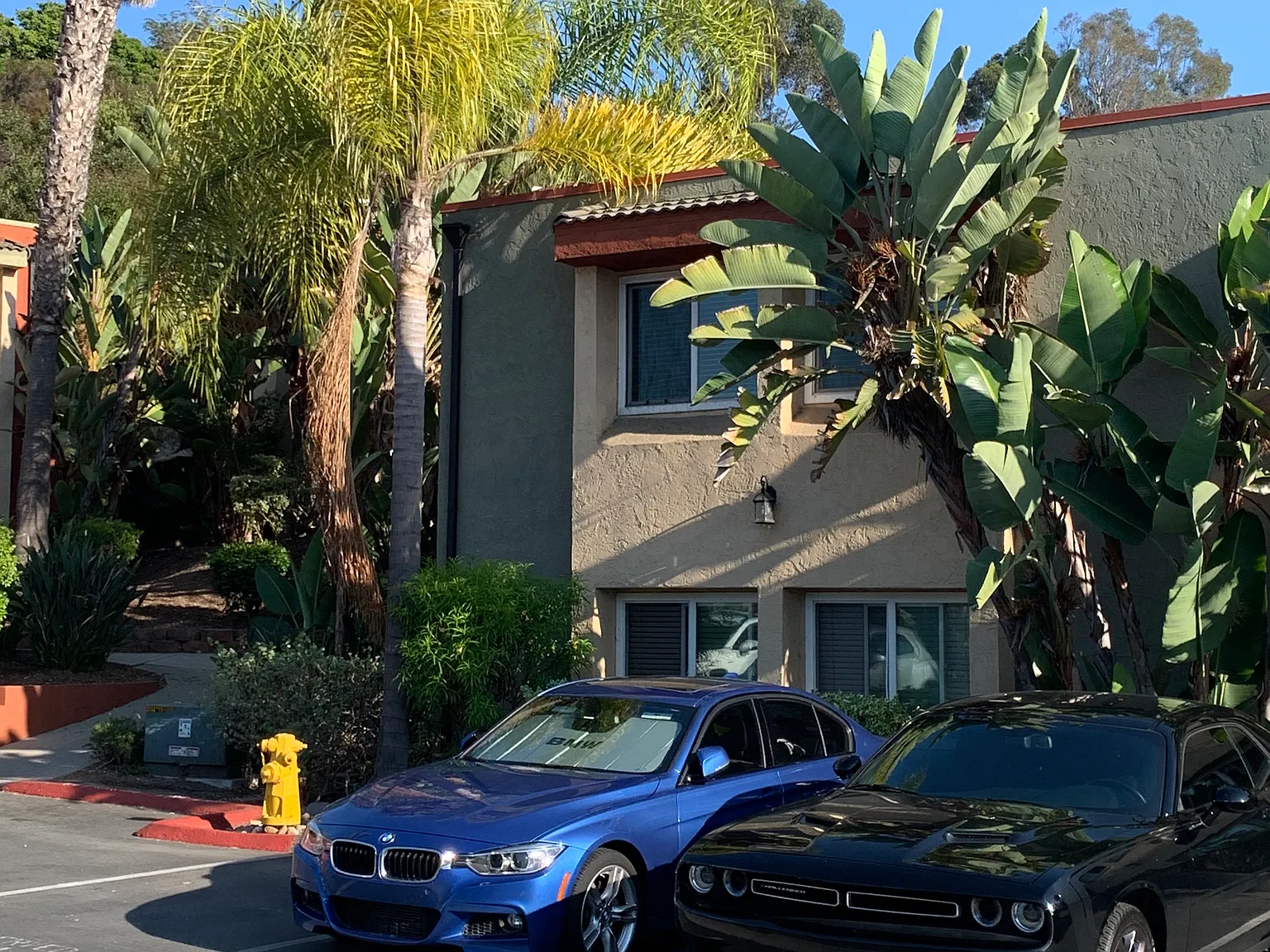 2 bed, 1.5 bath, 800 sqft, $2,900 — Photo 4
