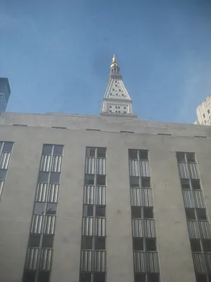 Rented by Citi Habitats | media 9