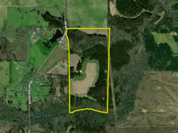 Silver Dollar Rd, Barnesville, GA 30204