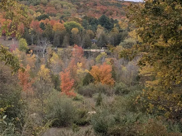 0 Veldkamp Ln, Central Lake, MI 49622