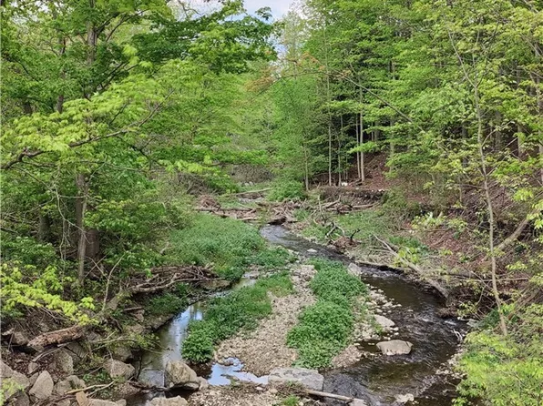11279 Old Glenwood Rd #1, East Concord, NY 14055