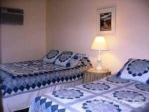 504 Lark bed #2