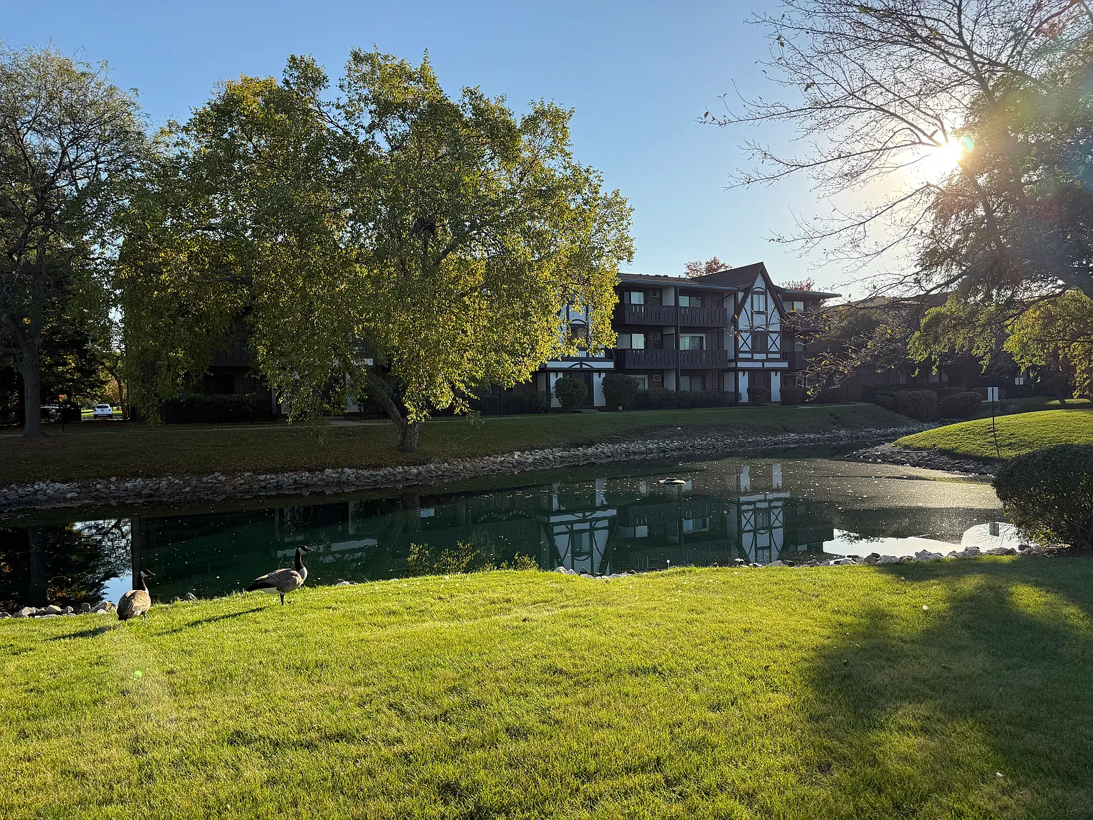 2 bed, 1.5 bath, 950 sqft, $2,000 — Photo 2