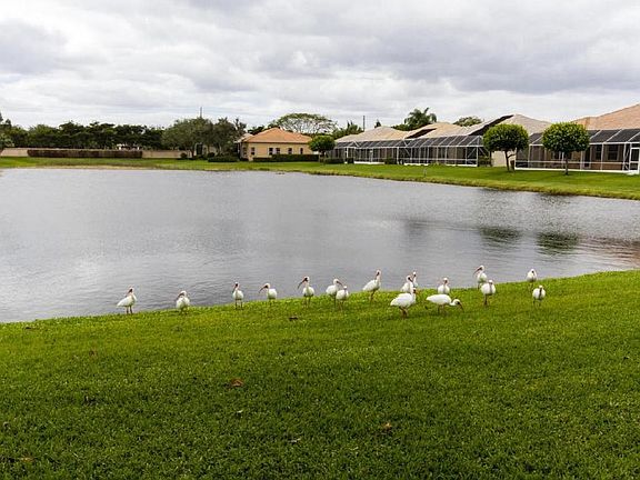 Lake View from Rear of Home