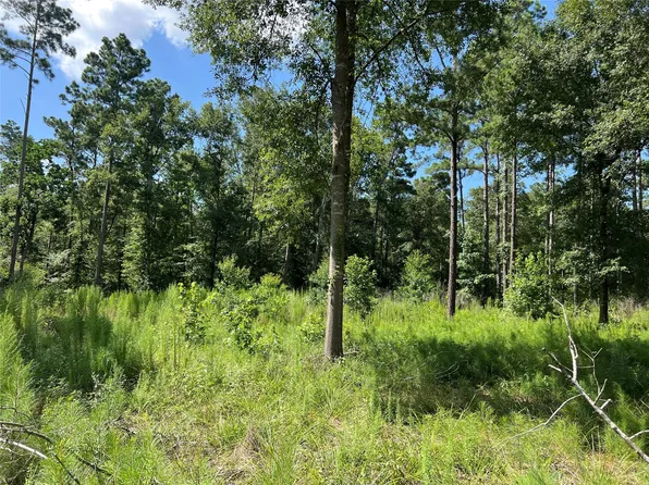 641 Rolling Pines Dr, Livingston, TX 77351