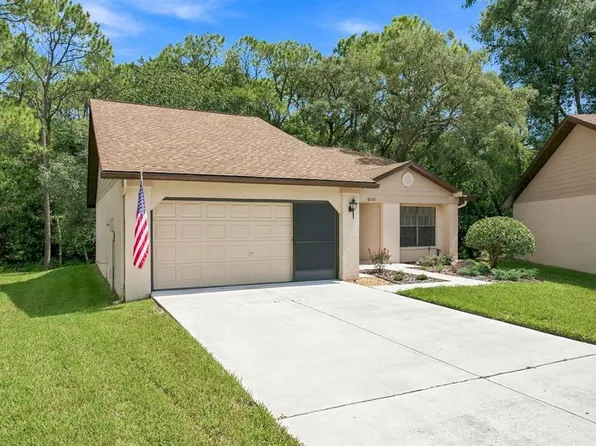 6810 PLUMLEAF COURT, SPRING HILL, FL 34606