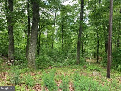 0 Flat Top Rd, Madison, VA, 22727