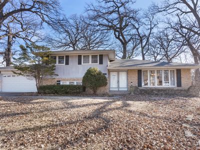 21529 S Nadia Dr, Joliet, IL, 60404