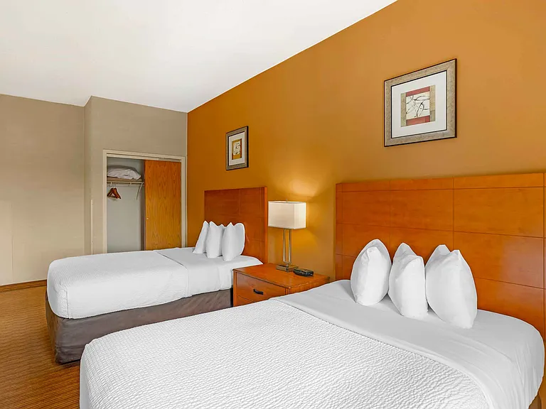 Deluxe Studio - 2 Full Beds