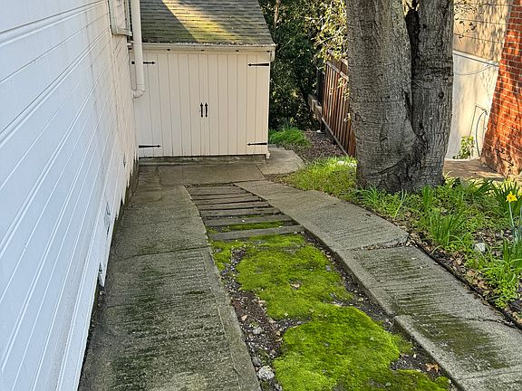 Path way from driveway to my downstairs apartment.