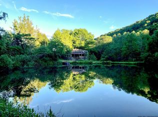 4352 Carcass Brook Rd, East Branch, NY 13756