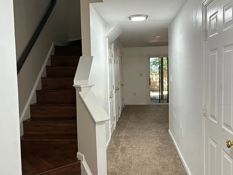 10164 Tree Frog Pl — Photo 13