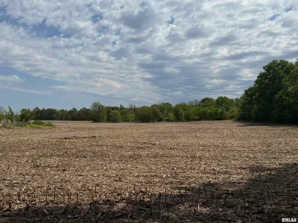 School St, Oakford, IL 62673