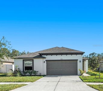 39822 Harmon Grove Ct, Zephyrhills, FL, 33540