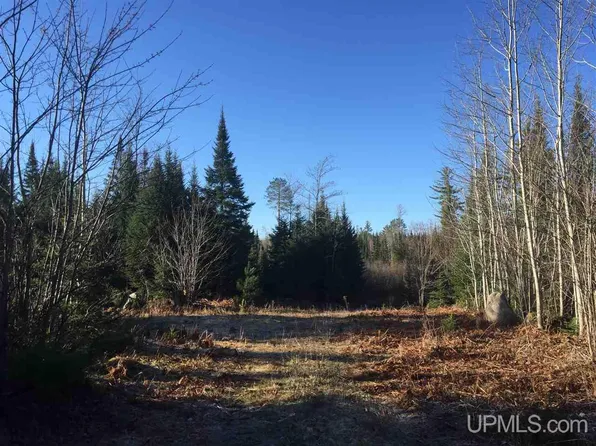 Off Co Road Rd #478-S80, Ishpeming, MI 49849