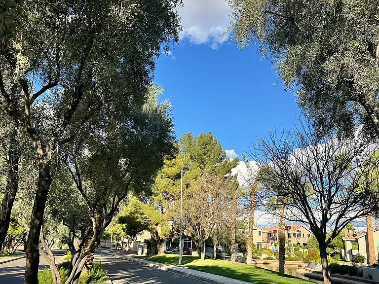 Enjoy a Community Filled with Mature Trees and Green Spaces.