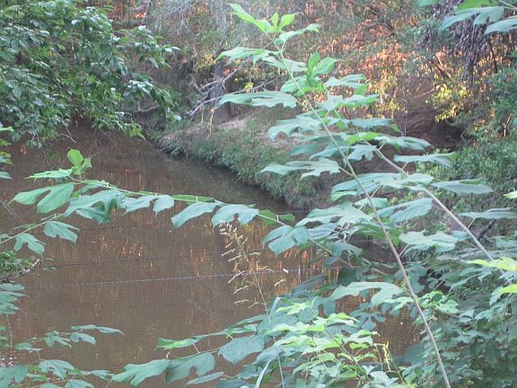 3rd image of 1235 County Road 3200