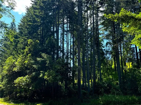10110 Suncrest Drive, Anderson Island, WA 98303