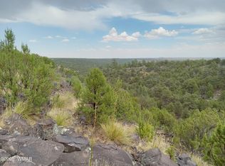 20 County Road 8116, Concho, AZ 85924