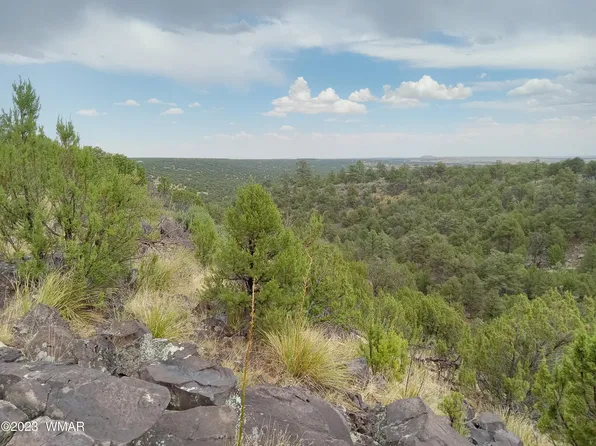 20 County Road 8116, Concho, AZ 85924