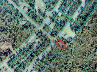 Tba Sw Court Road Lot 20, Ocala, FL 34473
