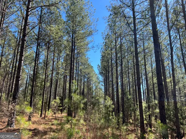 TRACT B1 Hulmes Chapel Rd, Elberton, GA 30635