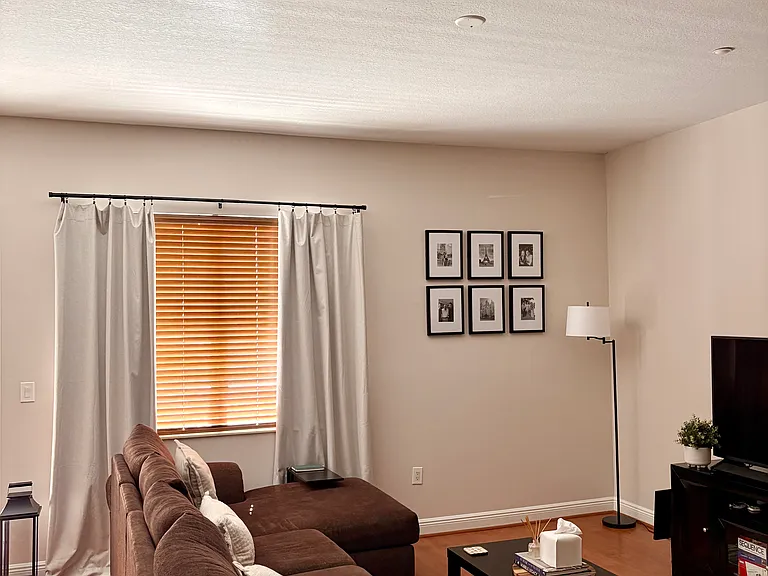 Main Living Space - 10 Foot Ceilings Throughout