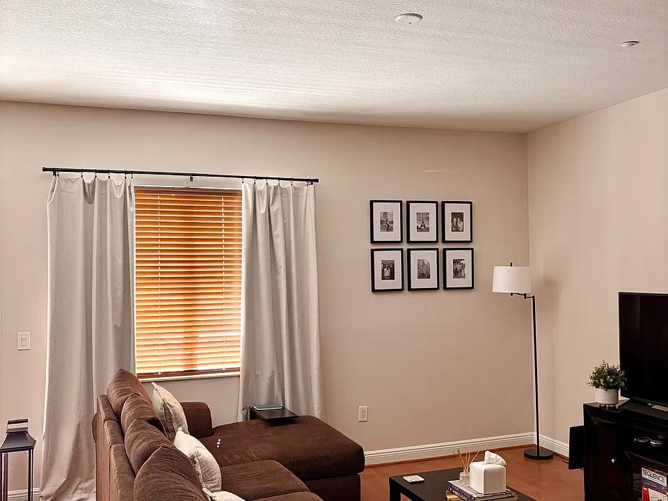 Main Living Space - 10 Foot Ceilings Throughout