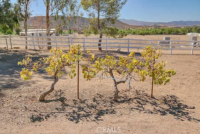 35502 Voss Rd — Photo 44