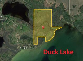 0 Strickland Rd, Grawn, MI 49637